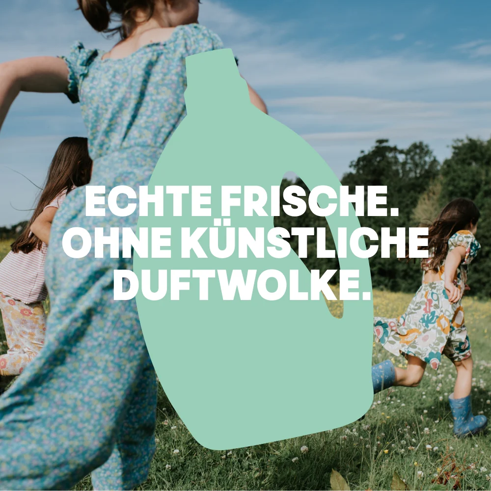 Vorschaubild 6